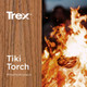 Trex_ColourTikiTorch.jpg.jpeg Trex_ColourTikiTorch.jpg.jpeg